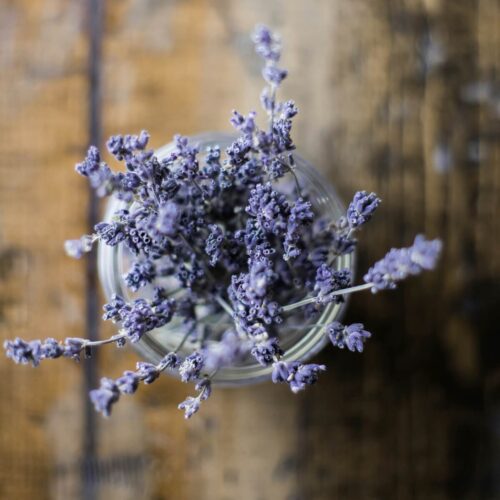 La lavande repousse naturellement les mites tout en parfumant délicatement vos vêtements